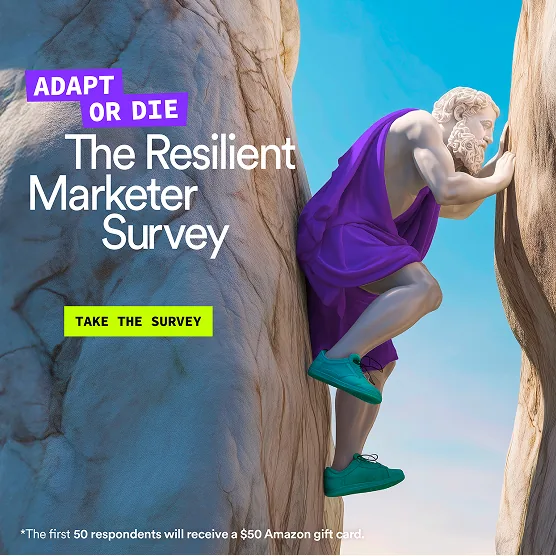 Ads & Campaigns — 06